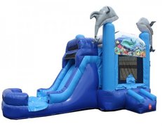 Dolphin Combo Slide Wet Dolphin Combo Slide Wet